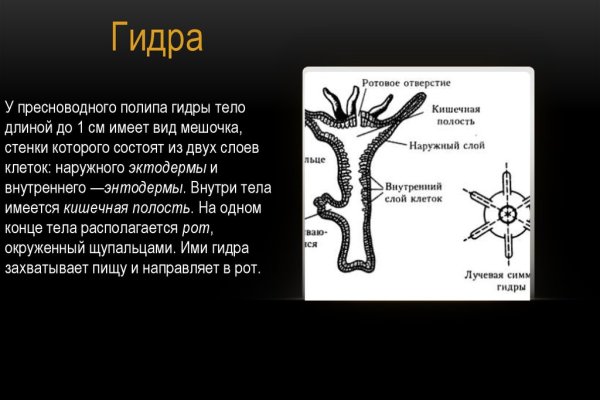 Магазин kraken даркнет