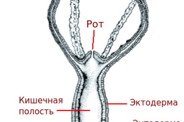 Кракен войти