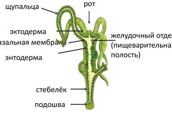 Кракен прямая ссылка